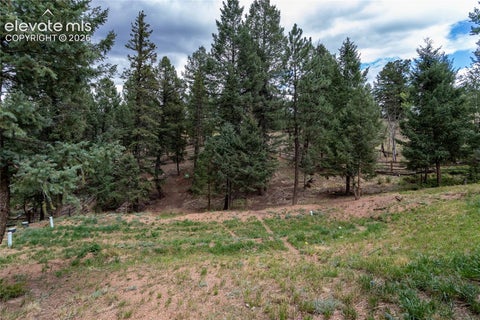 Tiny photo for 1427 N Mountain Estates Road, Florissant, CO 80816 (MLS # 9693756)