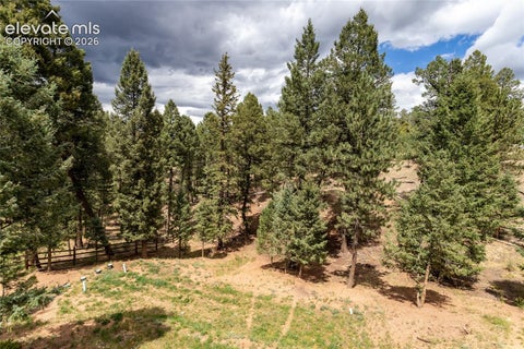 Tiny photo for 1427 N Mountain Estates Road, Florissant, CO 80816 (MLS # 9693756)