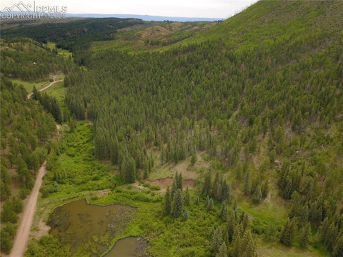 Photo of 10223 Trail Creek Road, Florissant, CO 80816 (MLS # 5772251)