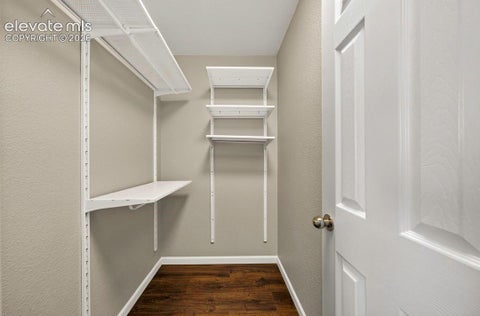 Tiny photo for 11662 Black Maple Lane, Colorado Springs, CO 80921 (MLS # 5616263)