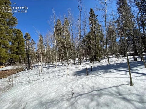 Photo of 2202 High Creek Road, Fairplay, CO 80440 (MLS # 2840245)