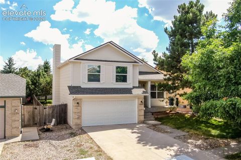 Photo of 4319 Apache Plume Drive, Colorado Springs, CO 80920 (MLS # 5833488)