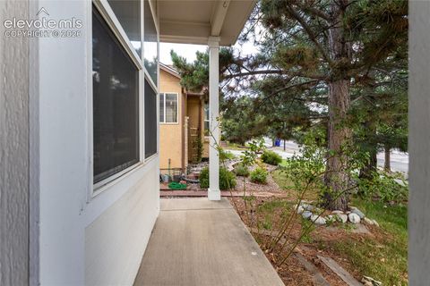 Tiny photo for 4319 Apache Plume Drive, Colorado Springs, CO 80920 (MLS # 5833488)