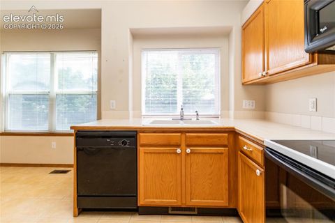 Tiny photo for 4319 Apache Plume Drive, Colorado Springs, CO 80920 (MLS # 5833488)