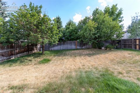 Tiny photo for 4319 Apache Plume Drive, Colorado Springs, CO 80920 (MLS # 5833488)