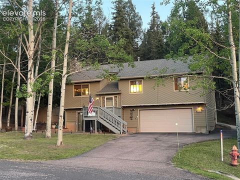 Photo of 2873 Sunnywood Avenue, Woodland Park, CO 80863 (MLS # 6746526)