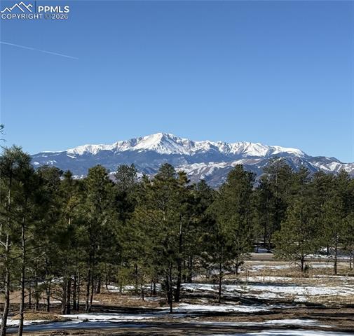 14432 Quartz Creek Drive