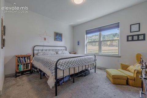 Tiny photo for 522 Brecken Court #B, Woodland Park, CO 80863 (MLS # 1523018)
