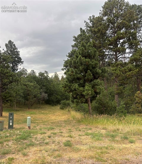 Photo of 1455 Blueberry Hills Road, Monument, CO 80132 (MLS # 3925526)