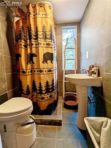 Tiny photo for 40 Flathead Lane, Woodland Park, CO 80863 (MLS # 4646299)