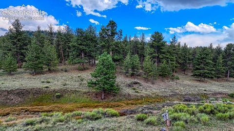 Tiny photo for 308 Dilley Lane, Westcliffe, CO 81252 (MLS # 8552027)