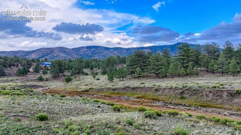 Tiny photo for 308 Dilley Lane, Westcliffe, CO 81252 (MLS # 8552027)