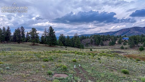 Tiny photo for 308 Dilley Lane, Westcliffe, CO 81252 (MLS # 8552027)