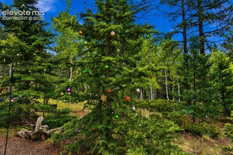 Tiny photo for 381 Saddleback Creek Drive, Florissant, CO 80816 (MLS # 6375366)