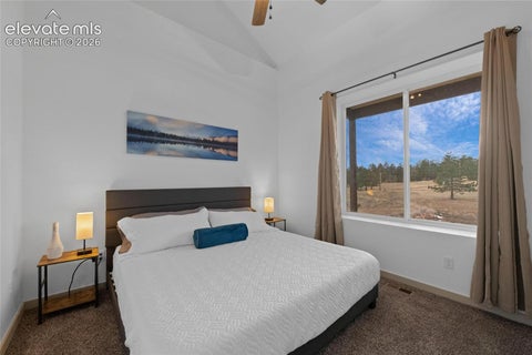 Tiny photo for 526 Irwin Drive, Florissant, CO 80816 (MLS # 6372567)