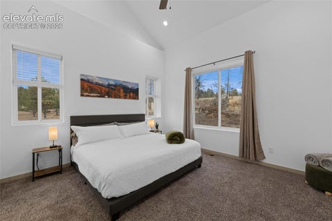 Tiny photo for 526 Irwin Drive, Florissant, CO 80816 (MLS # 6372567)