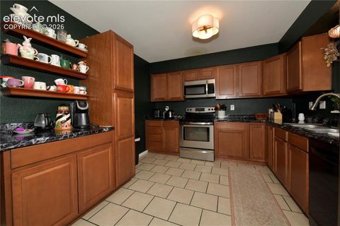Tiny photo for 4885 Hunters Run NA, Colorado Springs, CO 80911 (MLS # 6070401)