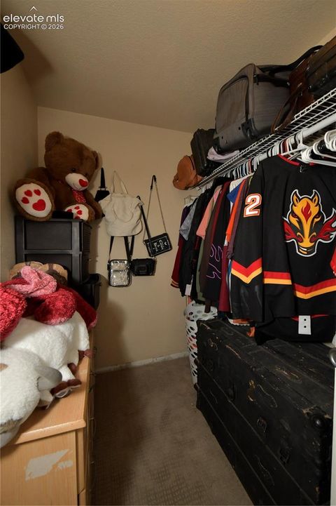 Tiny photo for 4885 Hunters Run NA, Colorado Springs, CO 80911 (MLS # 6070401)