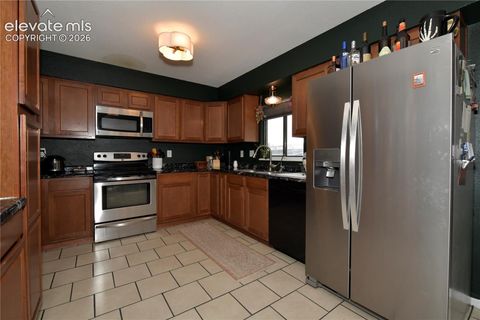 Tiny photo for 4885 Hunters Run NA, Colorado Springs, CO 80911 (MLS # 6070401)