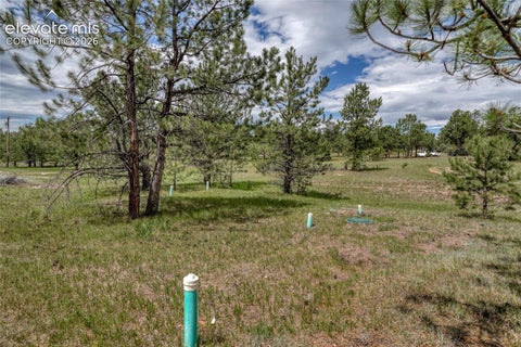 Tiny photo for 330 Arrowhead Drive, Florissant, CO 80816 (MLS # 6238711)