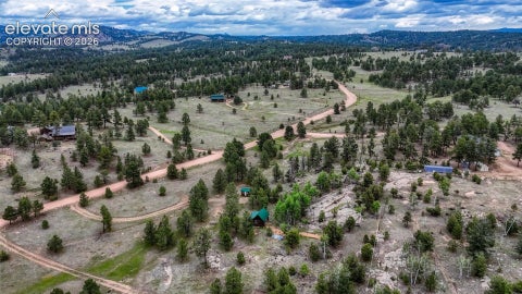 Tiny photo for 330 Arrowhead Drive, Florissant, CO 80816 (MLS # 6238711)