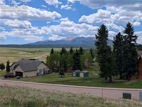 Photo of 108 Allison Place, Divide, CO 80814 (MLS # 7056226)