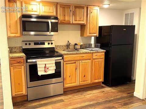 Photo of 1767 Silver Meadow Circle, Colorado Springs, CO 80951 (MLS # 9525633)