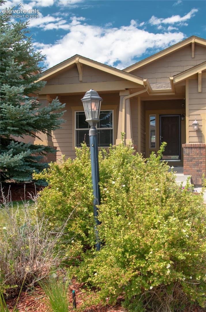 9574 Roxborough Park Court