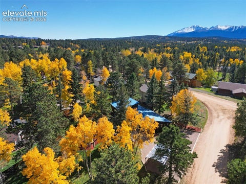 Tiny photo for 18 Holiday Drive, Woodland Park, CO 80863 (MLS # 9910054)