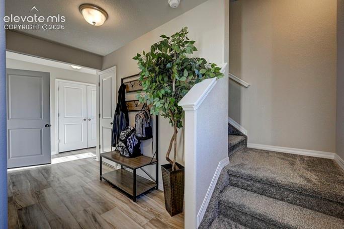 4983 Havenward View