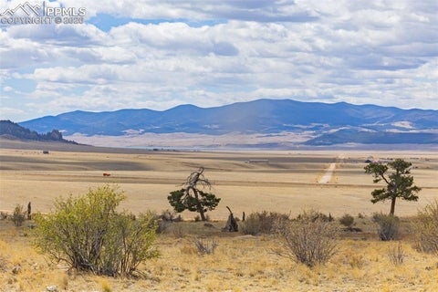 Photo of 1685 Montezuma Road, Lake George, CO 80827 (MLS # 1086731)