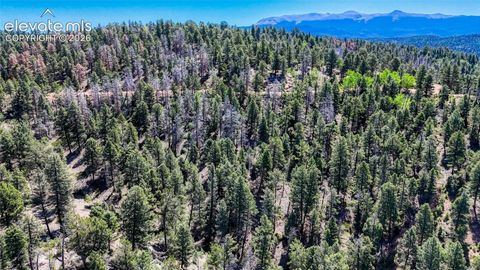 Photo of 3454 N Mountain Estates Road, Florissant, CO 80816 (MLS # 5722802)
