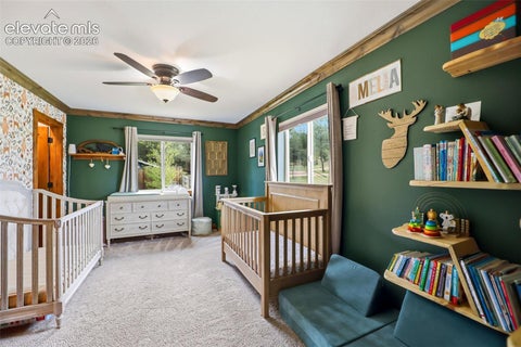Tiny photo for 201 Turnabout Lane, Florissant, CO 80816 (MLS # 2916062)