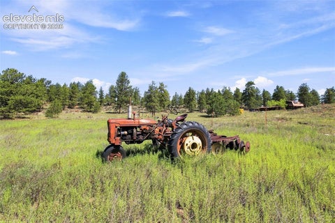Tiny photo for 3303 Trail Creek Road, Florissant, CO 80816 (MLS # 1817239)