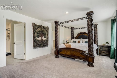 Tiny photo for 2110 Indian Balsam Drive, Monument, CO 80132 (MLS # 5878669)