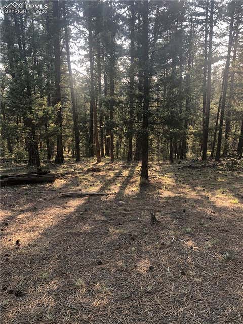 Photo of 469 Echo Lake Drive, Lake George, CO 80827 (MLS # 3022097)