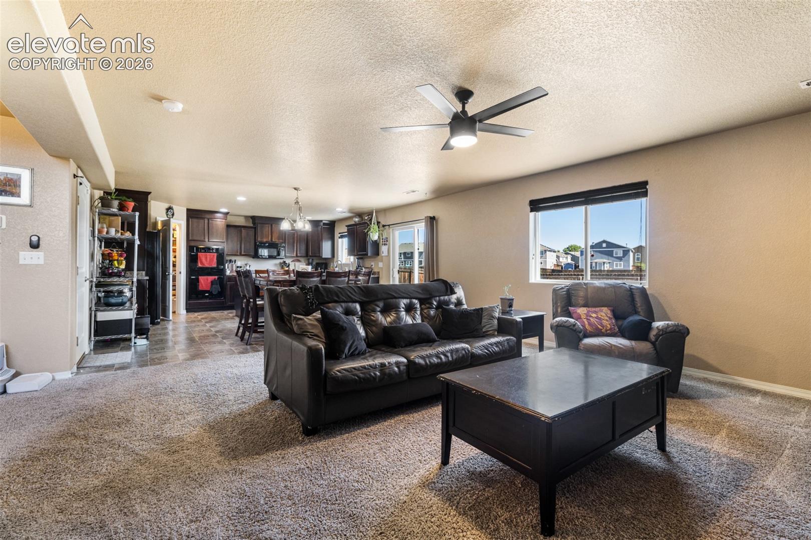 3893 Winter Sun Drive