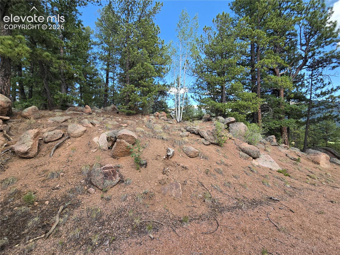 222 Blue Spruce Road