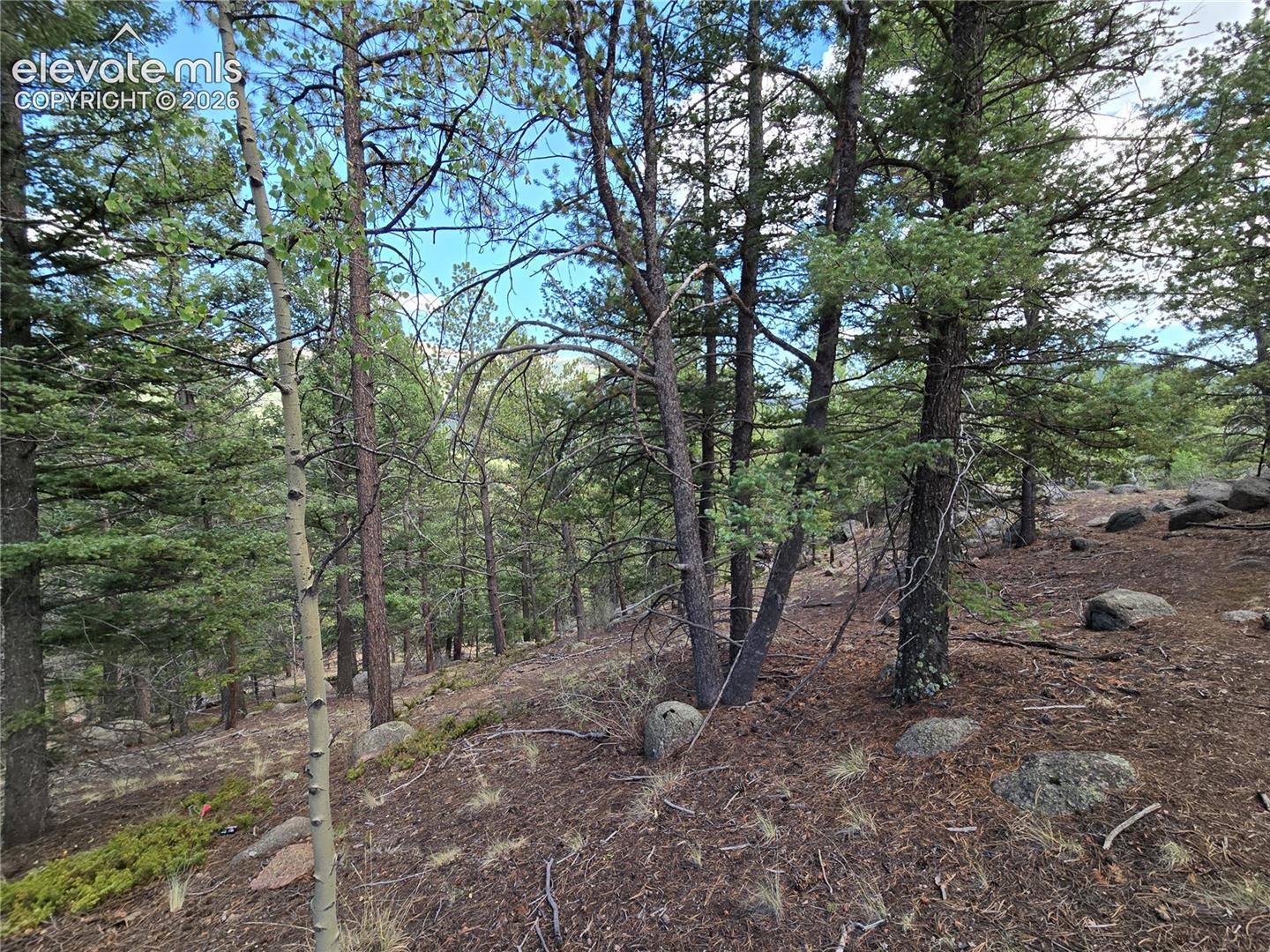 222 Blue Spruce Road