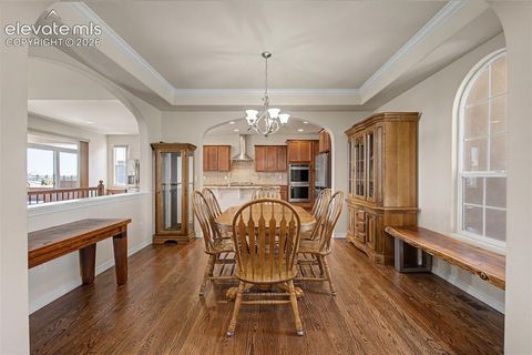 Tiny photo for 10933 Checo Way, Peyton, CO 80831 (MLS # 9821613)