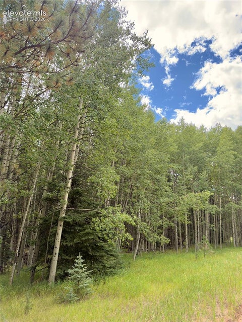 Photo of 616 Spring Valley Lane, Florissant, CO 80816 (MLS # 1623664)