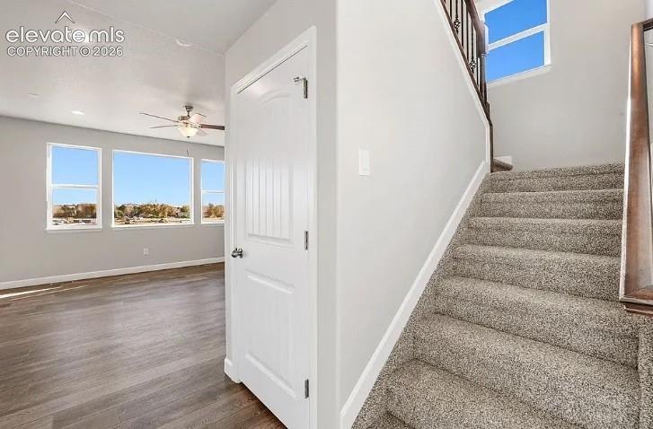 7201 Alpine Daisy Drive