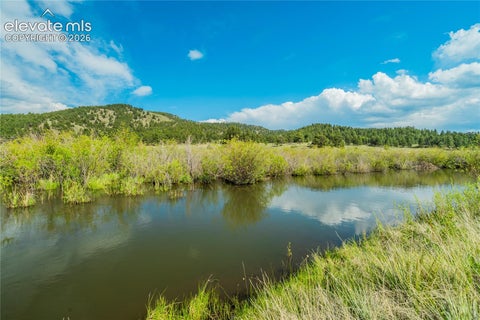Tiny photo for 224 Lakeview Forest Heights, Florissant, CO 80816 (MLS # 9796573)