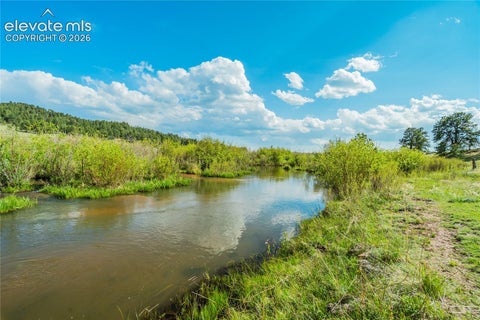 Tiny photo for 224 Lakeview Forest Heights, Florissant, CO 80816 (MLS # 9796573)