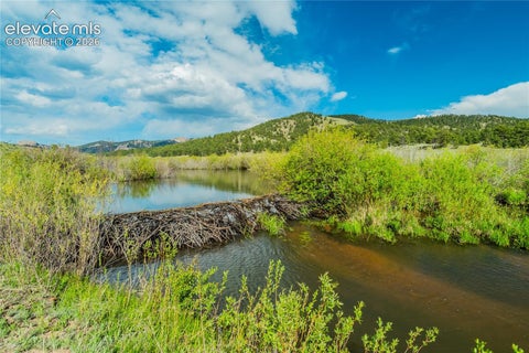 Tiny photo for 224 Lakeview Forest Heights, Florissant, CO 80816 (MLS # 9796573)