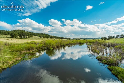 Tiny photo for 224 Lakeview Forest Heights, Florissant, CO 80816 (MLS # 9796573)