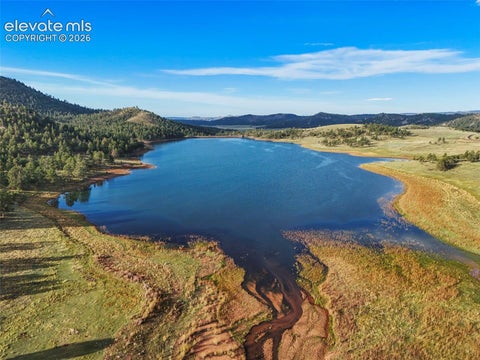 Tiny photo for 224 Lakeview Forest Heights, Florissant, CO 80816 (MLS # 9796573)