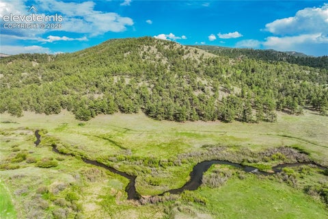 Tiny photo for 224 Lakeview Forest Heights, Florissant, CO 80816 (MLS # 9796573)