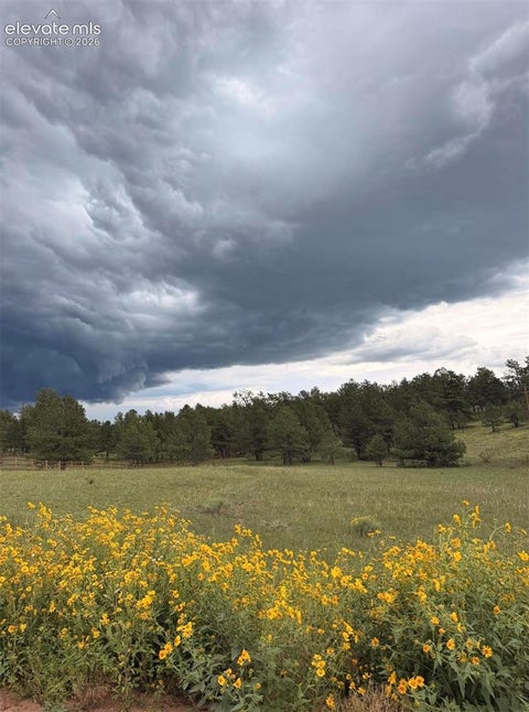 Photo of 382 Arrowhead Drive, Florissant, CO 80816 (MLS # 4315190)
