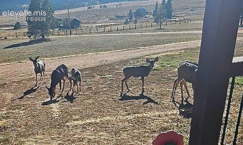 Tiny photo for 378 High Pasture Road, Florissant, CO 80816 (MLS # 4948859)
